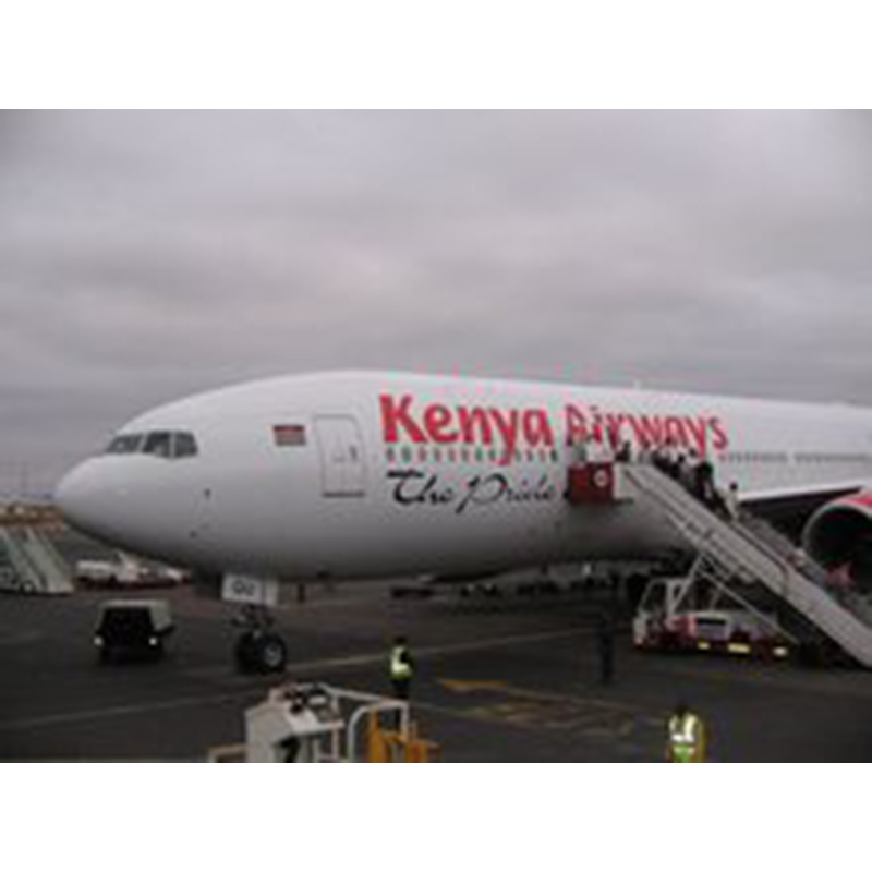 Kenya Airways-en ikuspegi orokorra